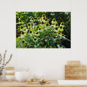 コーンフラワー、バテパーク、カーディフ、ウェールズ ポスター (キッチン)