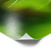 コーンフラワー フォトプリント            (角)