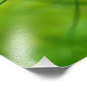 コーンフラワー フォトプリント            (角)