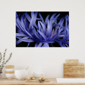 コーンフラワー ポスター (キッチン)