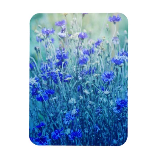コーンフラワー マグネット (縦)
