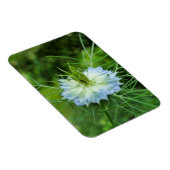 コーンフラワー マグネット (右側)