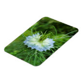 コーンフラワー マグネット (左側)