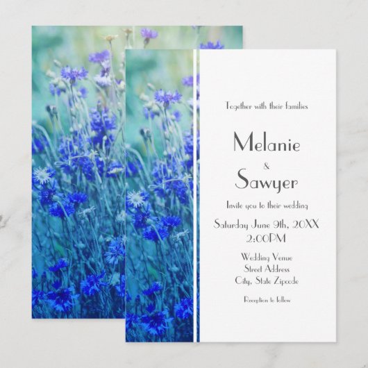コーンフラワー 招待状 (正面/裏面)