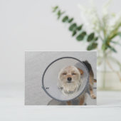 コーンヘッド ポストカード (スタンド正面)