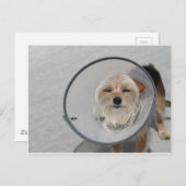 コーンヘッド ポストカード (正面/裏面)