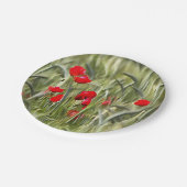 コーンポピー ペーパープレート (アングル)