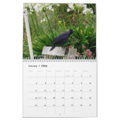 コーンワルの美しい場所をコーンワル語で冒険 カレンダー (1月 2026)