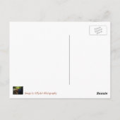 コーンワル素晴らしル、雪深い地雷。 ポストカード (裏面)