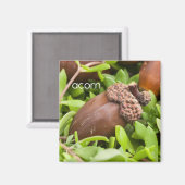 コーン冷凍機磁石 マグネット (正面/裏面)