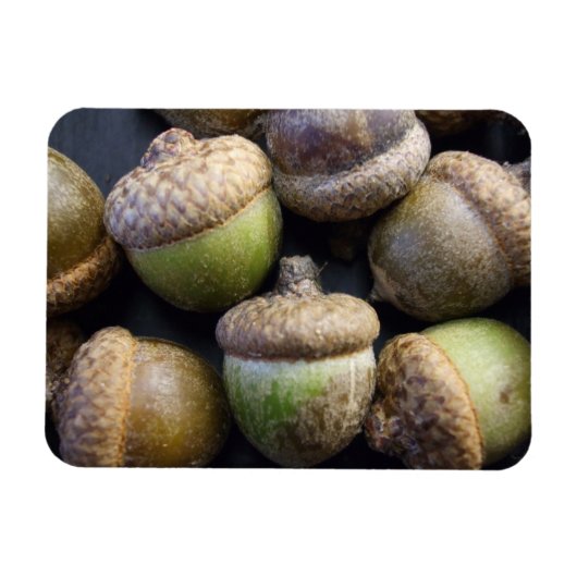 コーン磁石 マグネット (横)