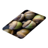 コーン磁石 マグネット (左側)