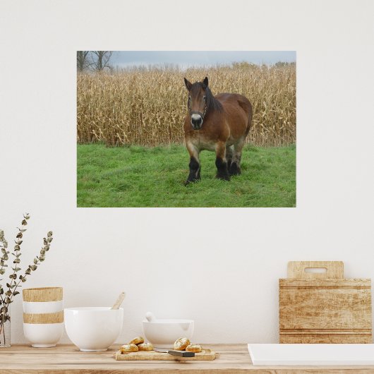 コーン荷車を引く畑の前のベルギーの馬 ポスター (キッチン)