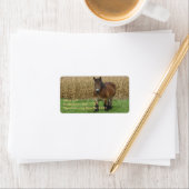 コーン荷車を引く畑の前のベルギーの馬 ラベル (インサイチュ)