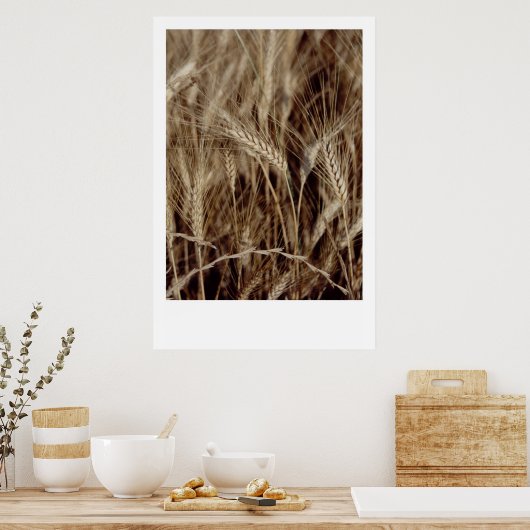 コーン ポスター (キッチン)