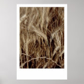 コーン ポスター (正面)