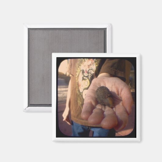 コーン？ マグネット (正面/裏面)