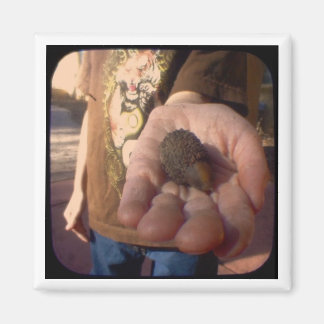 コーン？ マグネット