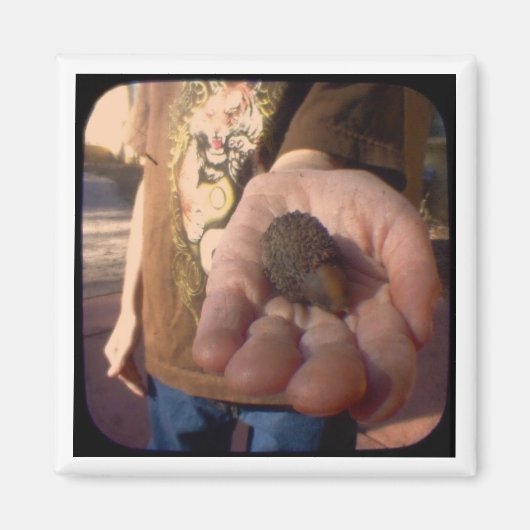 コーン？ マグネット (正面)