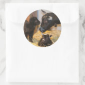 ゴアティ ラウンドシール (バッグ)