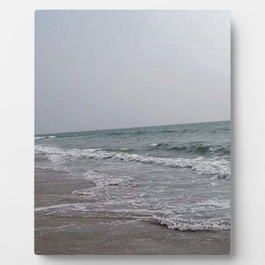 ゴアビーチインド フォトプラーク (正面)