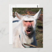 ゴアブーン ポストカード (正面/裏面)