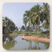 ゴア・インド コースター (正面)