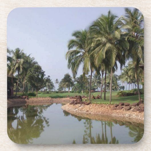 ゴア・インド コースター (正面)