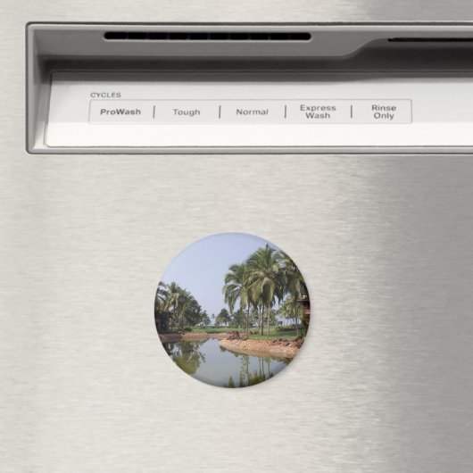 ゴア・インド マグネット (インサイチュ (食洗機))