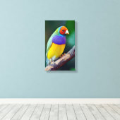 ゴイカラフルルディアンフィンチ キャンバスプリント (インサイチュ (ウッドフロア))