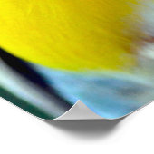 ゴイカラフルルディアンフィンチ ポスター (角)