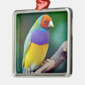 ゴイカラフルルディアンフィンチ メタルオーナメント (左)