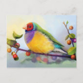 ゴウディアンフィンチのリアルな絵画 ポストカード (正面)