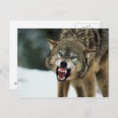 ゴオオカミの鳴き声 ポストカード (正面/裏面)