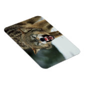 ゴオオカミの鳴き声 マグネット (右側)