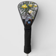 ゴキゴキおじいちゃんフクロウ営巣一文字の卵写真