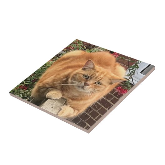 ゴキゴキした生姜の猫 タイル (側面)