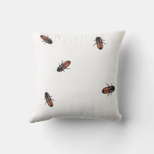 ゴキブリの侵入 クッション (裏面)