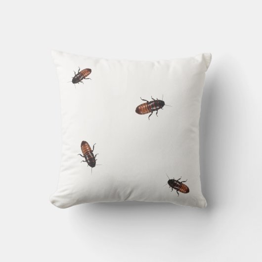 ゴキブリの侵入 クッション (正面)