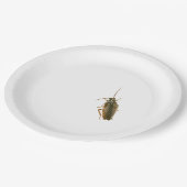 ゴキブリの悪ふざけのプレート ペーパープレート (アングル)