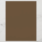 ゴキブリデザイン害虫駆除広告剤 チラシ (裏面)