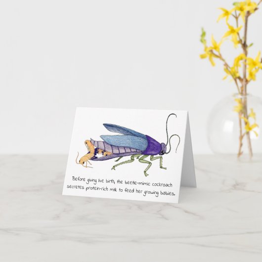 ゴキブリ母の日札 カード (黄色い花)