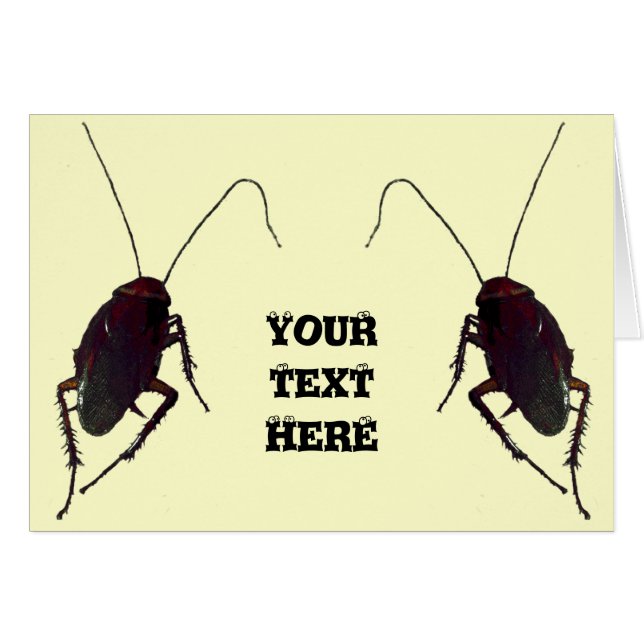 ゴキブリ (正面横)