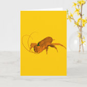 ゴキブリ カード (黄色い花)