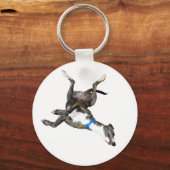 ゴキブリ キーホルダー (正面)