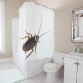 ゴキブリ シャワーカーテン (インサイチュ)