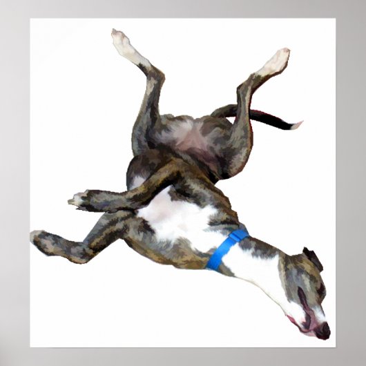 ゴキブリ ポスター (正面)