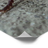 ゴキブリ ポスター (角)