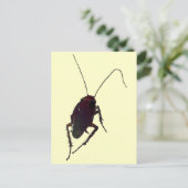 ゴキブリ ポストカード (スタンド正面)