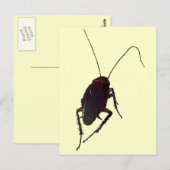 ゴキブリ ポストカード (正面/裏面)